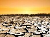 Oroscopo Luglio: Perle della