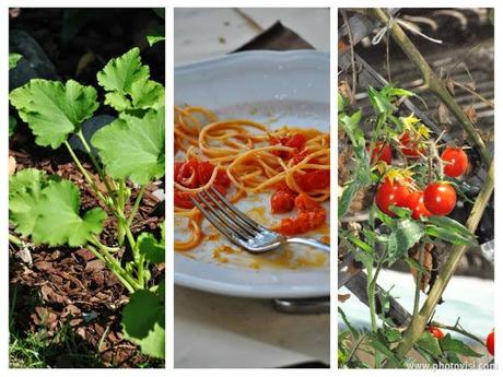 Le produzioni del mio orto e del mio giardino