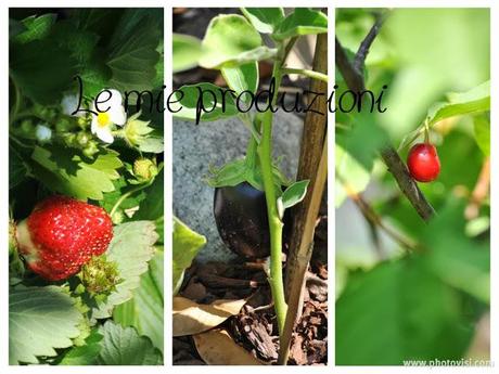 Le produzioni del mio orto e del mio giardino