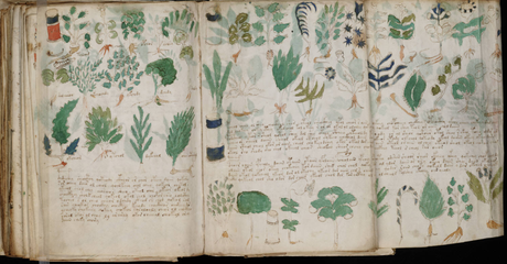 Voynich, il manoscritto del mistero, per gli esperti è un codice