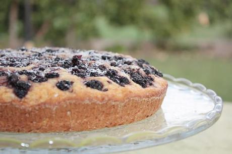 Dolce di kamut al cocco con frutti di bosco