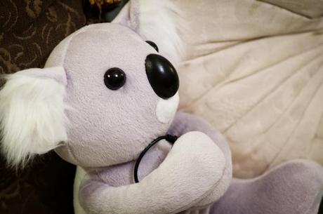 [TECHNOLOGY] Headphones, a cover and.. a koala!