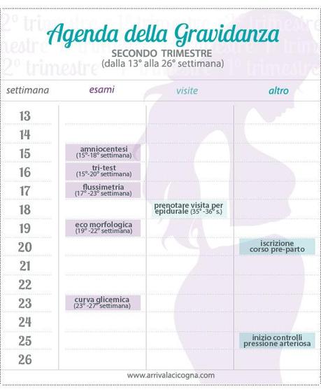 Calendario di visite ed esami del secondo trimestre di gravidanza