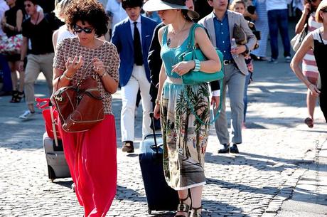 In the Street...Parrots, Toucans and Tropics, Milan & Florence