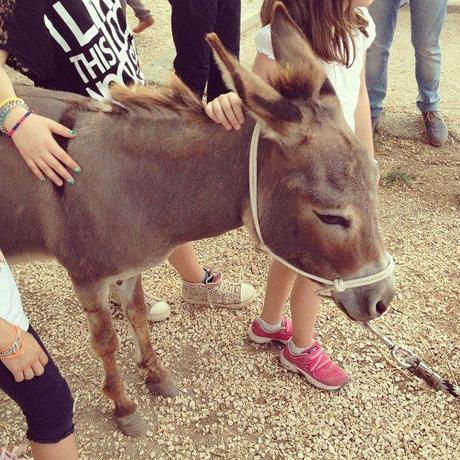 Masserie sotto le Stelle 2013