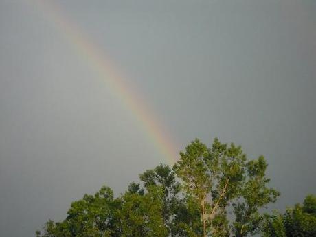 CORRETE: C’E’ L’ARCOBALENO!!!
… dopo un...