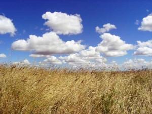 Dolianova un'estate ricca di eventi