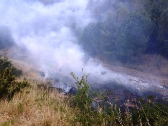 Bari/ Bosco Povera vita. Uomini della Brigata “Pinerolo” impiegati nel servizio antincendio