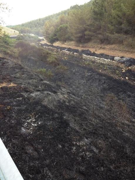 Bari/ Bosco Povera vita. Uomini della Brigata “Pinerolo” impiegati nel servizio antincendio