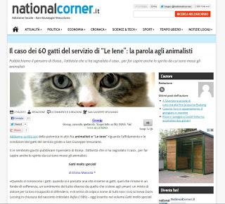 Gatti molto speciali: i peggiori luoghi comuni sui nostri amici felini