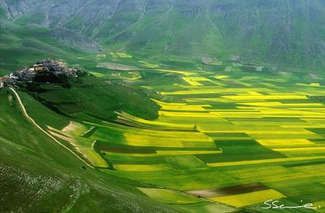 la fiorita in Castelluccio