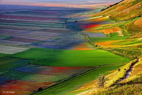 la fiorita in Castelluccio