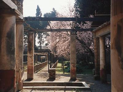 Pompei: l'impossibile poesia delle rovine