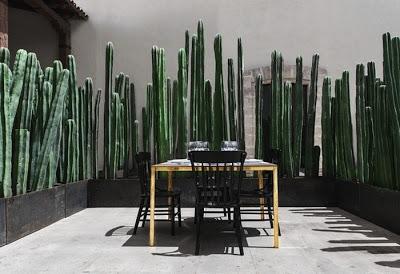 Idea: recinzione con i cactus