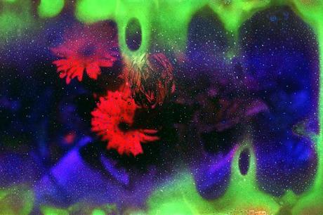 Film Soups: introduzione.