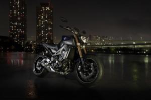 yamaha-mt-09-my-2014-statiche-ambientate-1