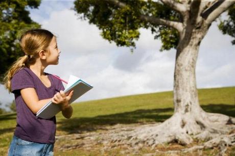 Nipoti e compiti delle vacanze