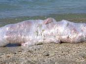 "Luoghi comuni" /Spazio Poesia