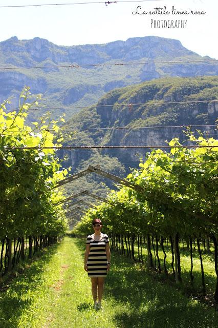 Weekend in love passeggiando tra i vigneti