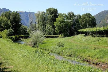 Weekend in love passeggiando tra i vigneti