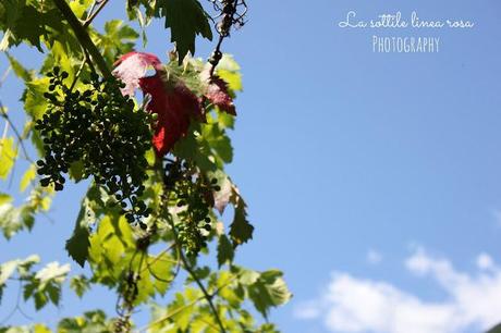 Weekend in love passeggiando tra i vigneti