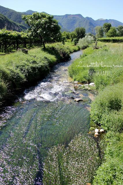 Weekend in love passeggiando tra i vigneti