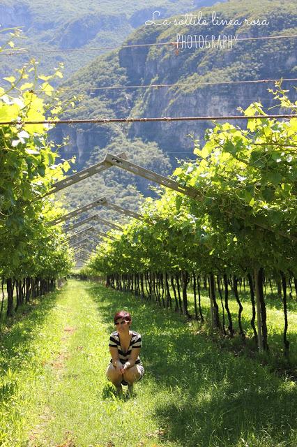 Weekend in love passeggiando tra i vigneti