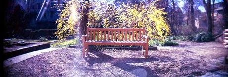 SECRET CITY LIFE | Milano - Il romantico orticello di Brera