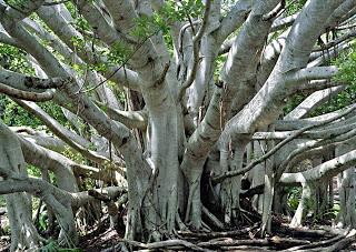 101 Cose su di Me - 5° puntata