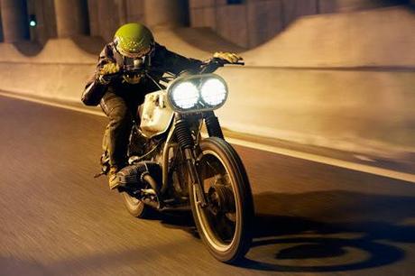 The beauty of the ugly Gonzo