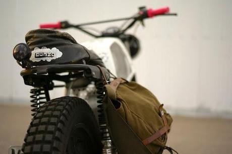 The beauty of the ugly Gonzo