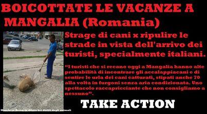 Romania – Partito il massacro dei cani in vista della stagione balneare