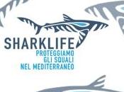 Sharklife: proteggiamo squali mediterraneo