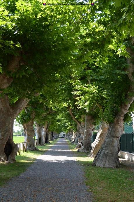 Un inguaribile viaggiatore a Mirabilia 2013 - Cherasco