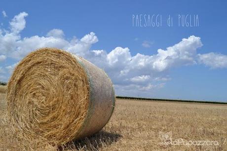 La Puglia: un Popolo di Formiche