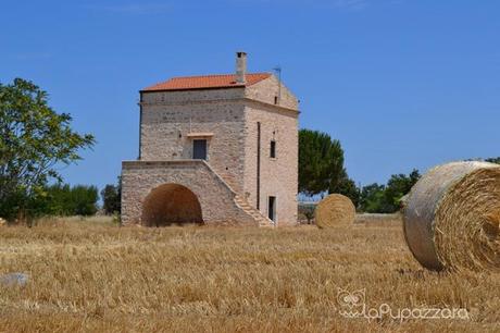 La Puglia: un Popolo di Formiche