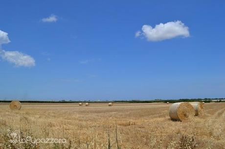 La Puglia: un Popolo di Formiche