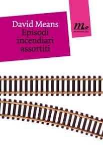 EPISODI INCENDIARI ASSORTITI - David Means