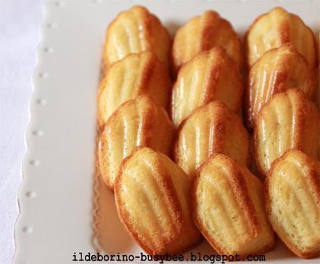 Dolcezze d'Oltralpe - Le Madeleines
