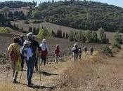 Escursione naturalistica gratuita Free naturalistic excursion