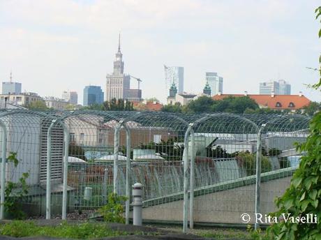 A meta' tra Chicago e Beijing - I giardini pensili di Varsavia