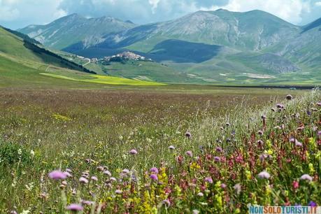 Umbria - Altopiano di Castelluccio