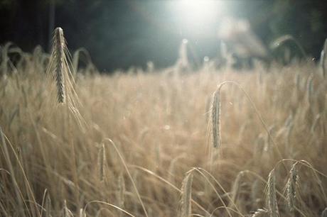 WHO ARE YOU | Viviana Levrino, ispirazione e aspirazione