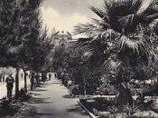 Giochi posted Carmelina Rotundo