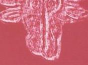 Sant'Ugo Montegranaro protagonisti nuovo romanzo Medardo Arduino