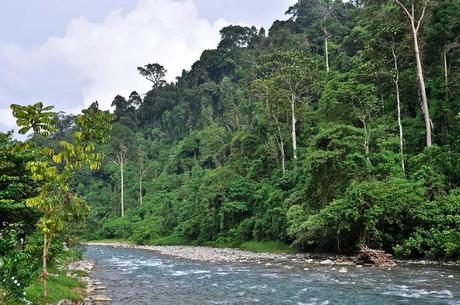 Ritorno in Indonesia