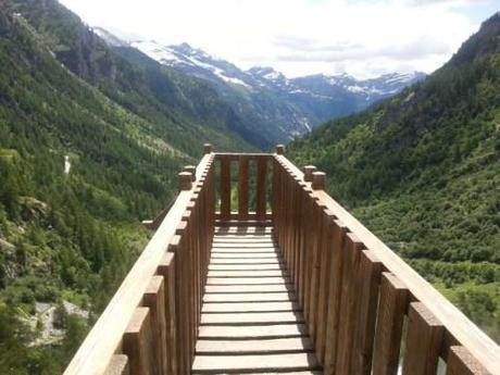 2013-07-04 12.56.22 (Small)