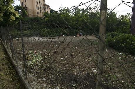 Un giardino pubblico invaso da roditori (abbandonati e poi riprodottisi in loco). Un parco zeppo di conigli e criceti fuori e la gente continua a dar loro da mangiare trasformando tutto in discarica
