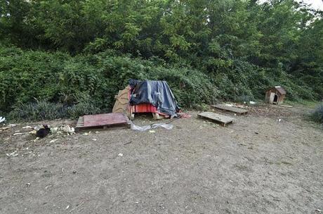 Un giardino pubblico invaso da roditori (abbandonati e poi riprodottisi in loco). Un parco zeppo di conigli e criceti fuori e la gente continua a dar loro da mangiare trasformando tutto in discarica