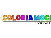 Come nasce farfalla